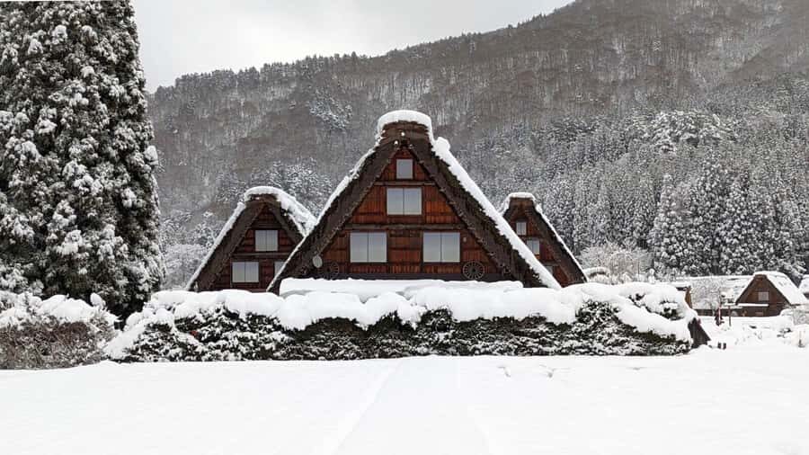 From Nagoya: Snow Day in the Japan Alps & Shirakawago - Morning Snow Fun at Hirugano Highlands