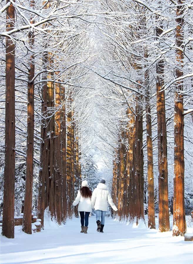 From Seoul: Eobi Ice Valley & Nami Island Day Trip - Eobi Ice Valley – Korea’s Winter Gem