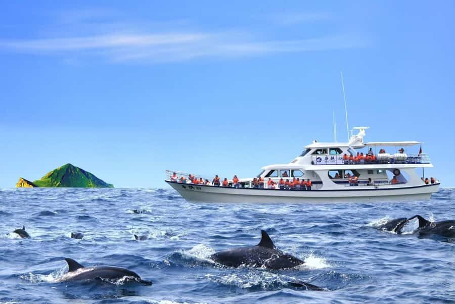 From Taipei to Yilan:Dolphins, Waves, and Whispering Trees - Wushi Harbor: Whale Watching and Marine Encounters