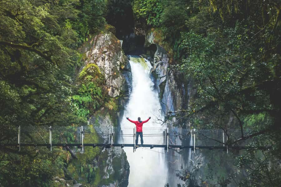 From Te Anau: Milford Sound Cruise & Track Walk by Coach - The Practicalities: Transport, Timing, and Value