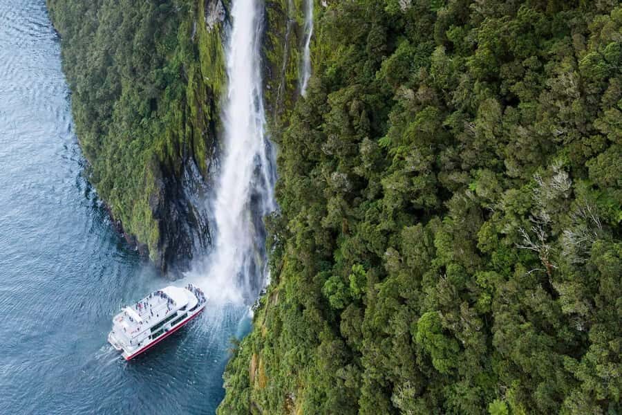 From Te Anau: Milford Sound Premium Bus Tour and Cruise - The Scenic Drive: Why It Matters