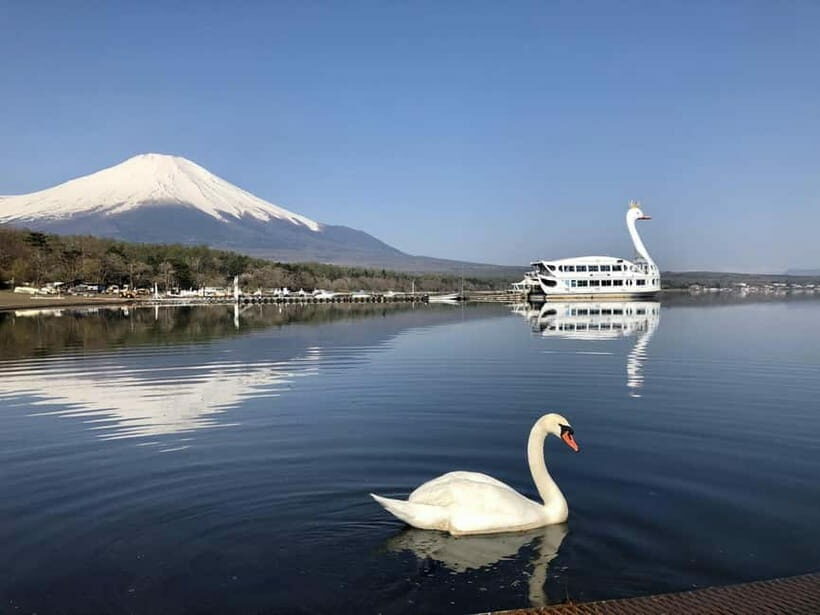 From Tokyo: Mt. Fuji Lawson & Iconic Lakes 1-Day Bus Tour - What to Expect and Practical Tips