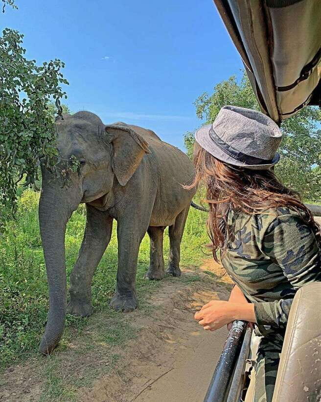 From Weligama : Udawalawa National Park Safari Tour - Analyzing the Value