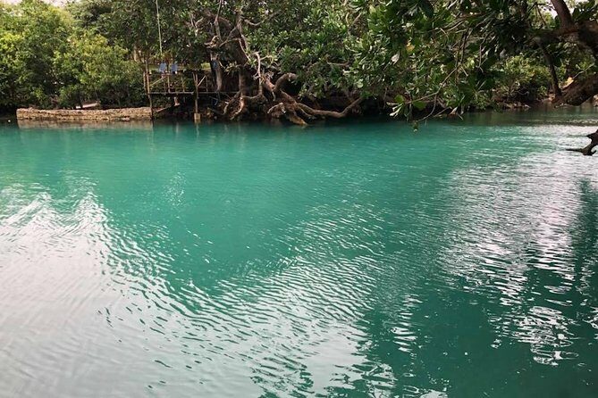 Full-Day Efate Round Island Trip with Yumi Tours - The Value Proposition