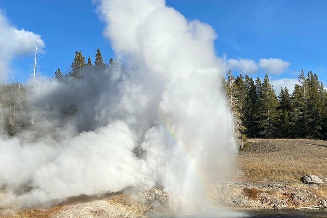Full Day Private Wildlife/Geyser Tour from West Yellowstone - Who Will Love This Tour?