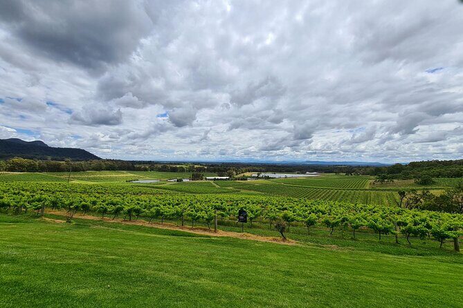 Full Day Private Wine Tour Exclusively Tailored To Suit You - A Personalized Journey Through Hunter Valley’s Wineries