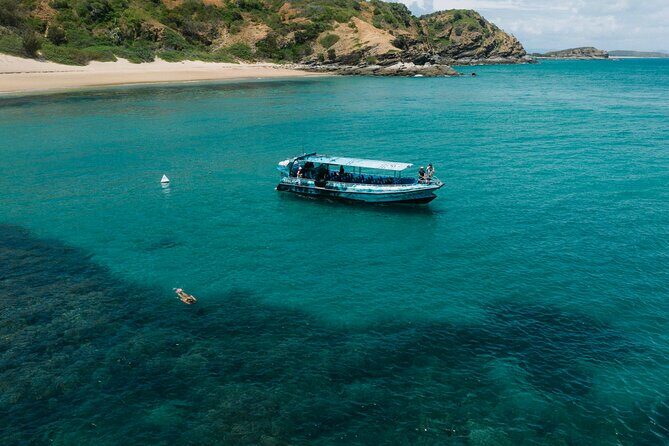 Funtastic Kraken Keppel Island Day Trip and Snorkelling Adventure - Marine Life and Sightings