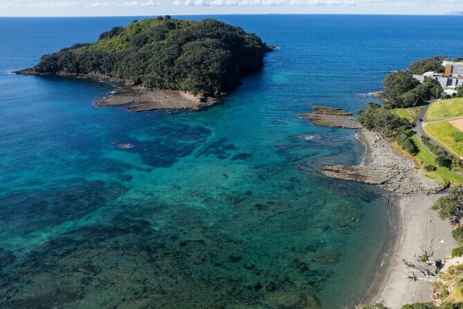 Goat Island Experience Guided Snorkelling for Beginners - Insights from Reviews