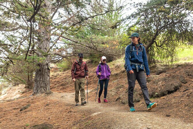 Godley Head Scenic Drive & Walking Tour (Private Shore Excursion) - In-Depth Look at the Itinerary