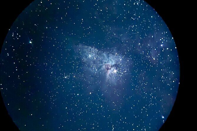 Gold Coast: Glow Worms, Sunset & Stargazing with BBQ dinner - Practical Details and Value