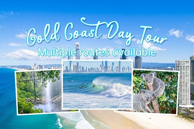 Gold Coast Private Customize One Day Tour - Why Choose This Tour?