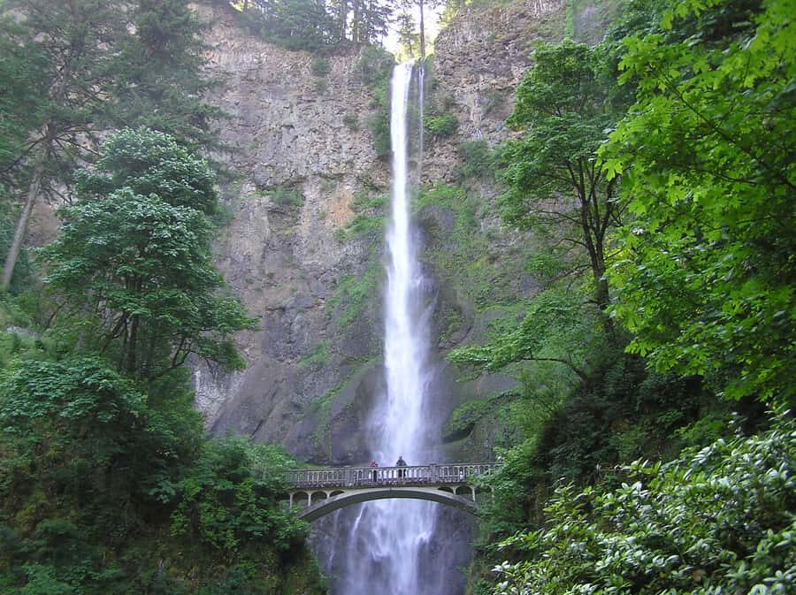 Gorge Explorer - Multnomah Falls & Beyond - PDX08 - Who Should Consider This Tour?