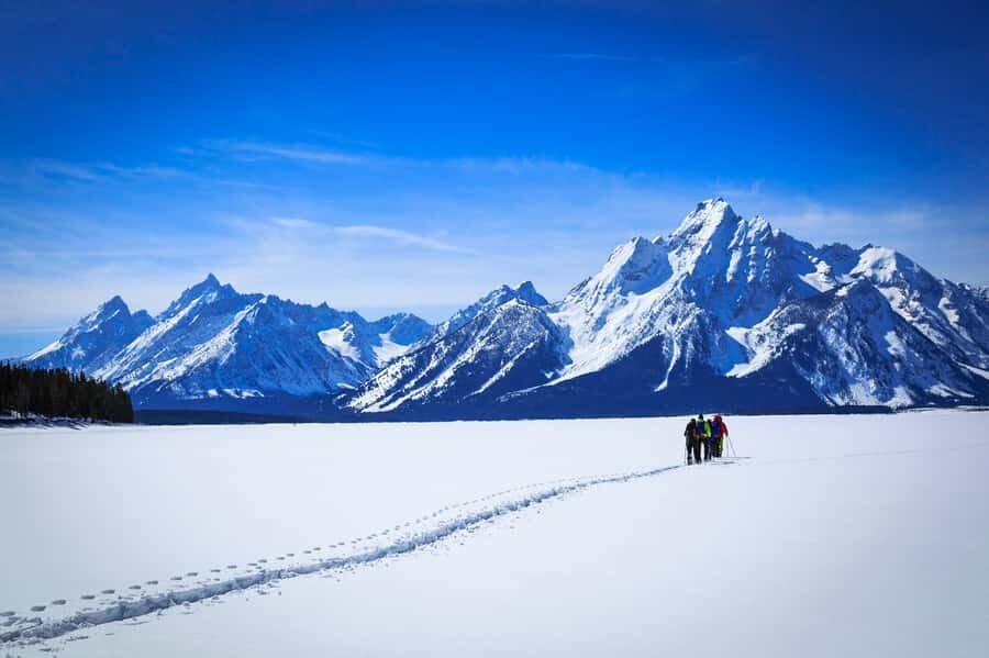 Grand Teton National Park: 4-Hour Beginner Cross-Country Ski - What to Expect on Your 4-Hour Cross-Country Ski Tour