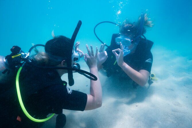 Great Keppel Island PADI Discover Scuba Dive with Keppel Dive - Final Thoughts