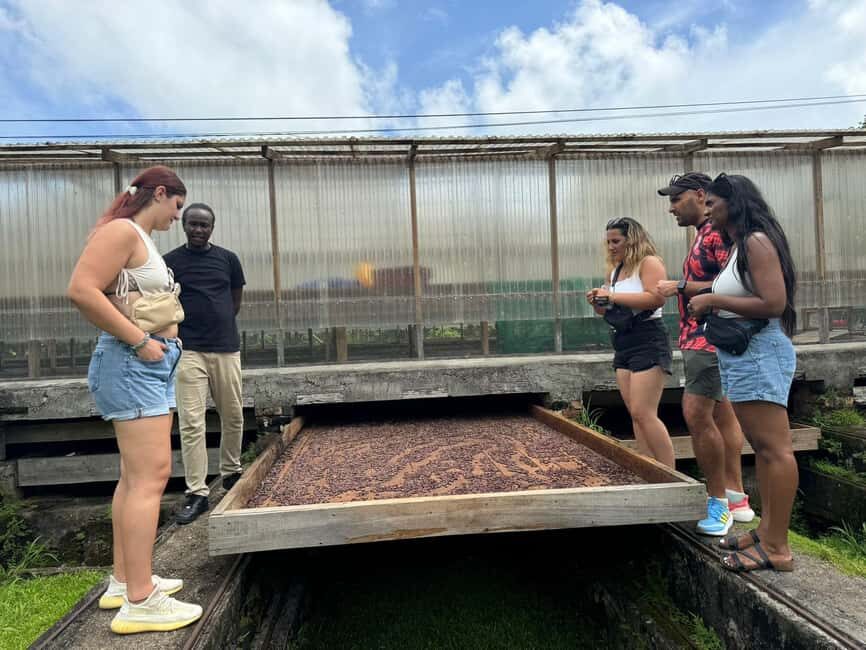 Grenada: Belmont Estate Tree to Bar Chocolate Workshop - What Makes This Tour Stand Out