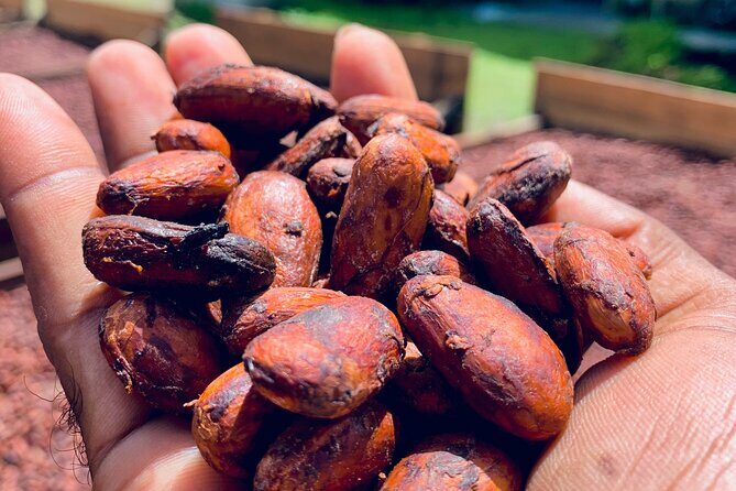 Grenada City Tour, Spice Market, Chocolate, Fort Frederick - The Sum Up