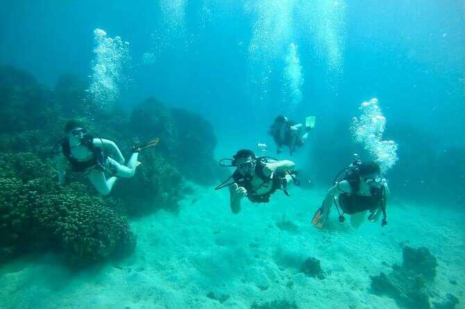 Guam's Best Beach Diving! Beginner and Advanced Dives - What You Can Expect: Dive by Dive Breakdown