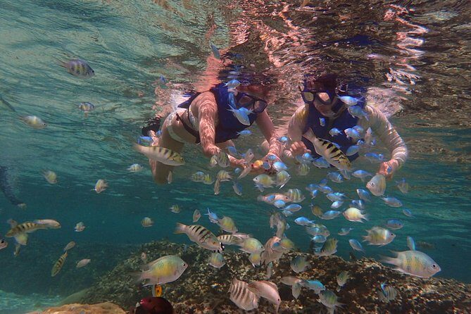 Guam's Private 5 Star Guided Snorkeling Tour! - Practical Details to Keep in Mind
