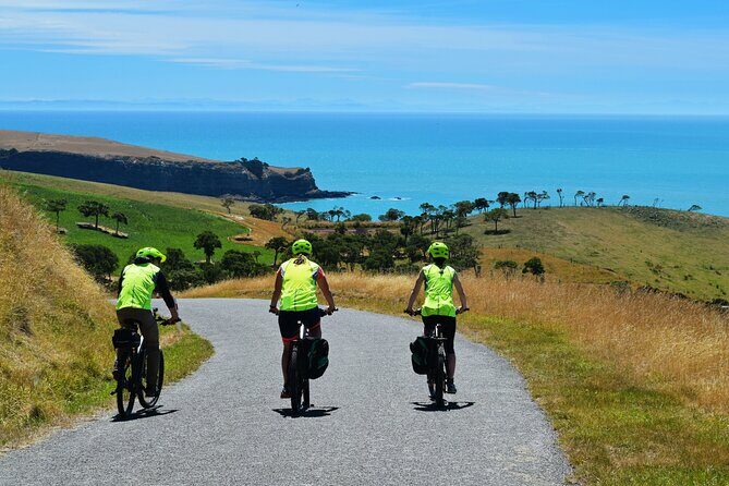 Guided Electric Mountain Bike Tour- Akaroa Explorer - Who Should Book This Tour?