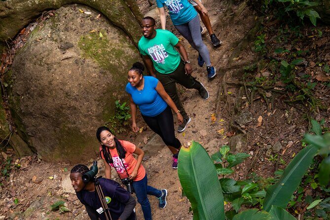 Guided Rainforest Hike on the Jacquot Trail  Castries, St Lucia - Why This Tour Stands Out