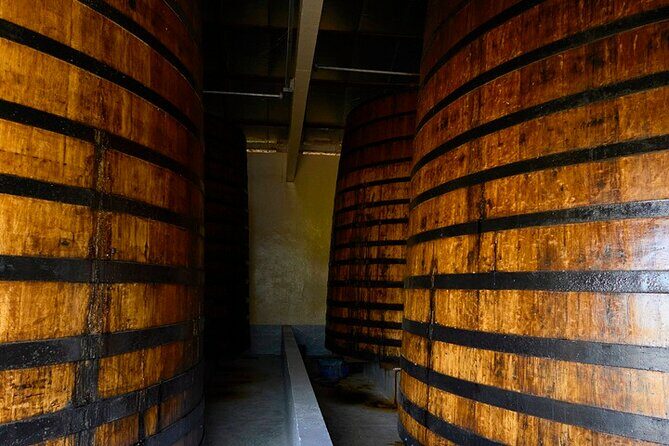 Guided tour with tasting of the Distillery Bonne Mère - What We Loved & What to Consider