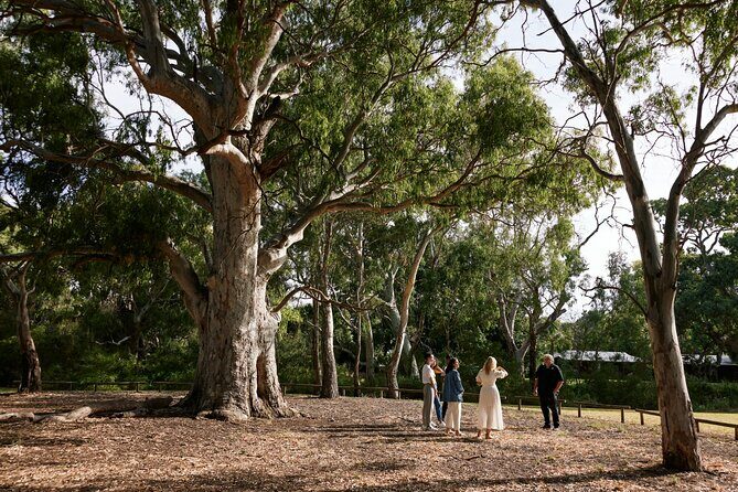 Guided Warriparinga Cultural and Historical Tour - The Itinerary and What You’ll Experience