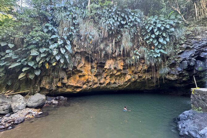 Half-Day Grenada Tour With Easy - Who Is This Tour Best For?