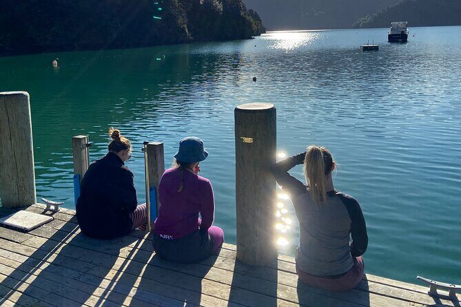 Half-Day Guided Sea Kayak Trip from Picton - The Value of This Experience
