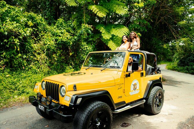 Half Day Private Tour in St. Lucia Jeep Wrangler - What’s Included and What’s Not