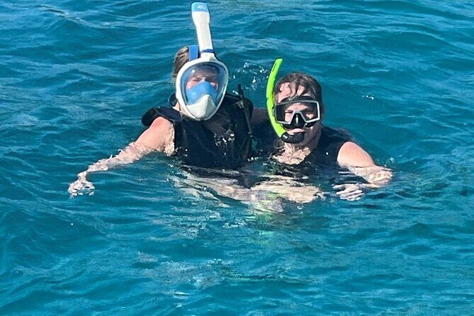 Half Day Snorkeling Tour from Margaritaville - What Youll Experience