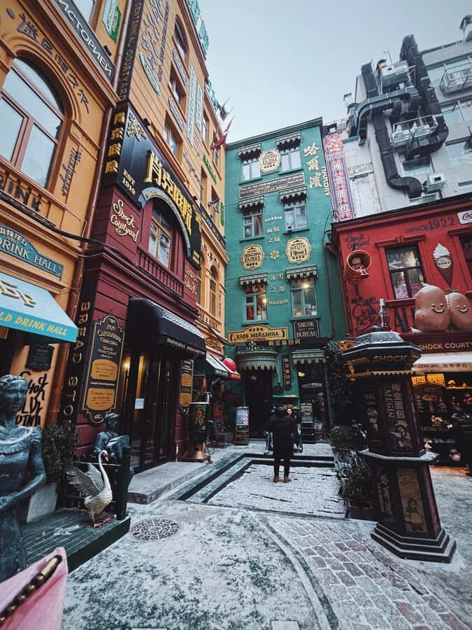 Harbin: Local Markets, Central Street, & Flexible Itinerary - Strolling Along Zhongyang Pedestrian Street
