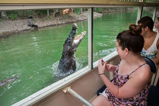 Hartley's Crocodile Adventures Day Trip from Cairns - What Travelers Love