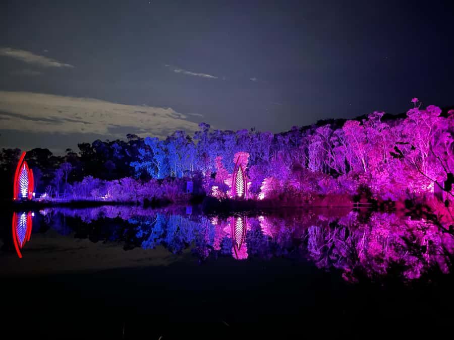 Hervey Bay: K'Gari 5 Day Ultimate Adventure + Illumina - The Value of This Tour