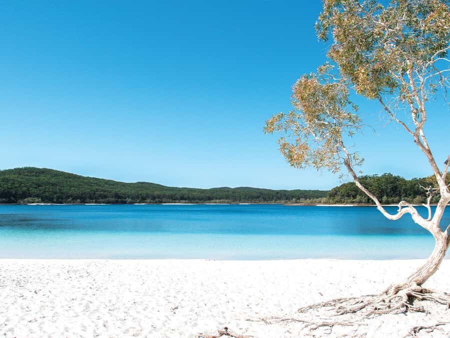 Hervey Bay: K'Gari (Fraser Island) 5 Day Ultimate Adventure - Itinerary Breakdown