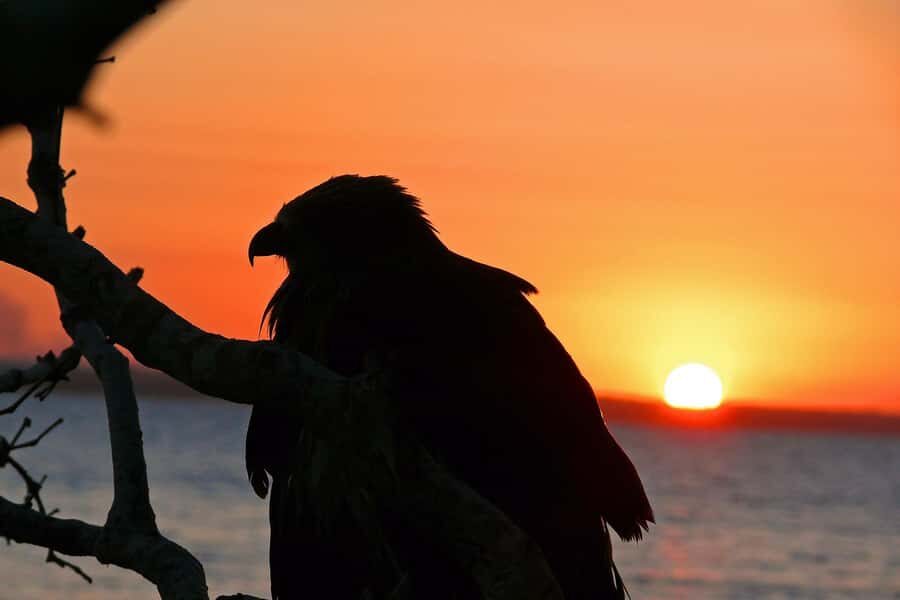 Hervey Bay: Relaxing Sunset Cruise with Champagne and Prawns - Who Will Love This Tour?