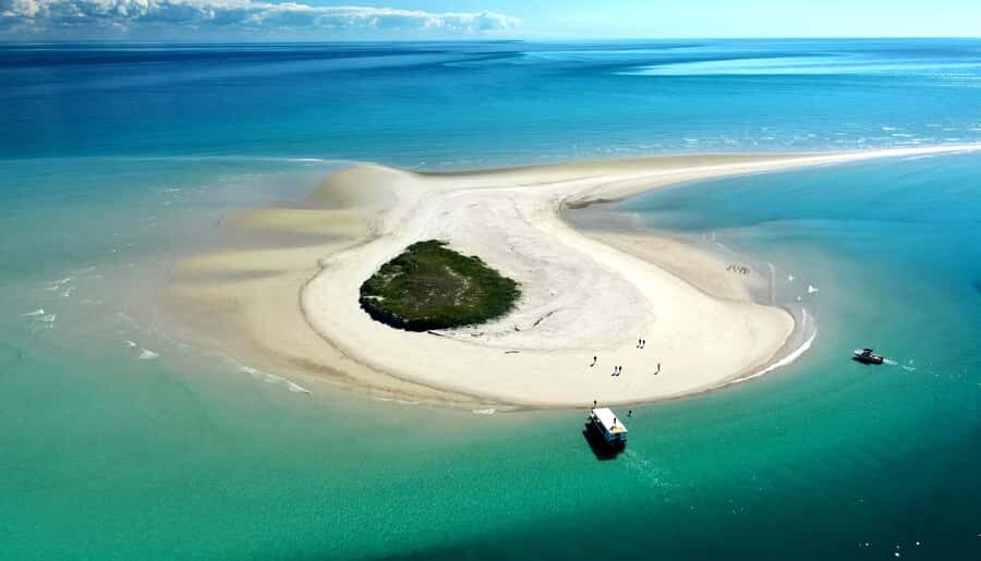Hervey Bay: Turtle Discovery Eco Tour - The Itinerary – What Makes It Special