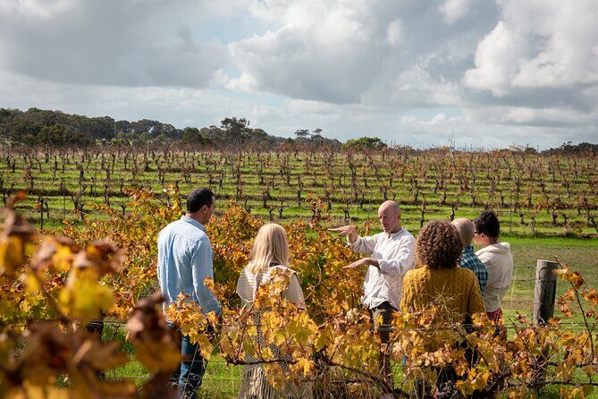 Hidden Gems: Boutique Full-Day Wine, Farm & Lunch Tour - An In-Depth Look at the Full-Day Experience
