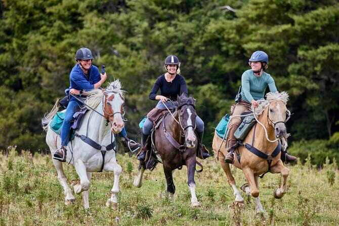 High Country Enchantment Full-Day Horse Trek - Who Should Consider This Tour?