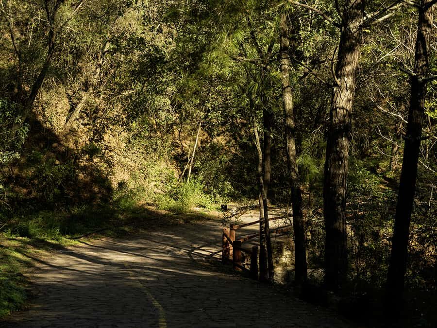 Hiking and a visit to a waterfall in the city: La Estanzuela - Practical Tips for Participants