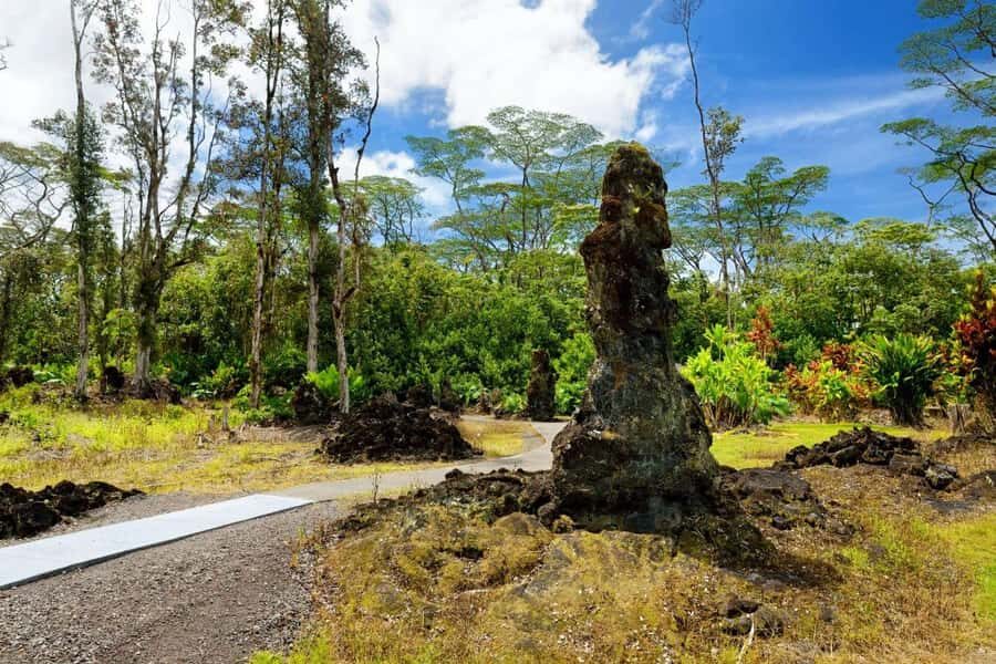 Hilo: Volcano Safari Tour - Who Should Consider This Tour?