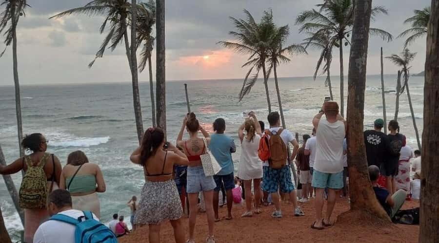 Hiriketiya: Mirissa Beach & Whale Watching Day Trip - Coconut Tree Hill: A Photo Stop