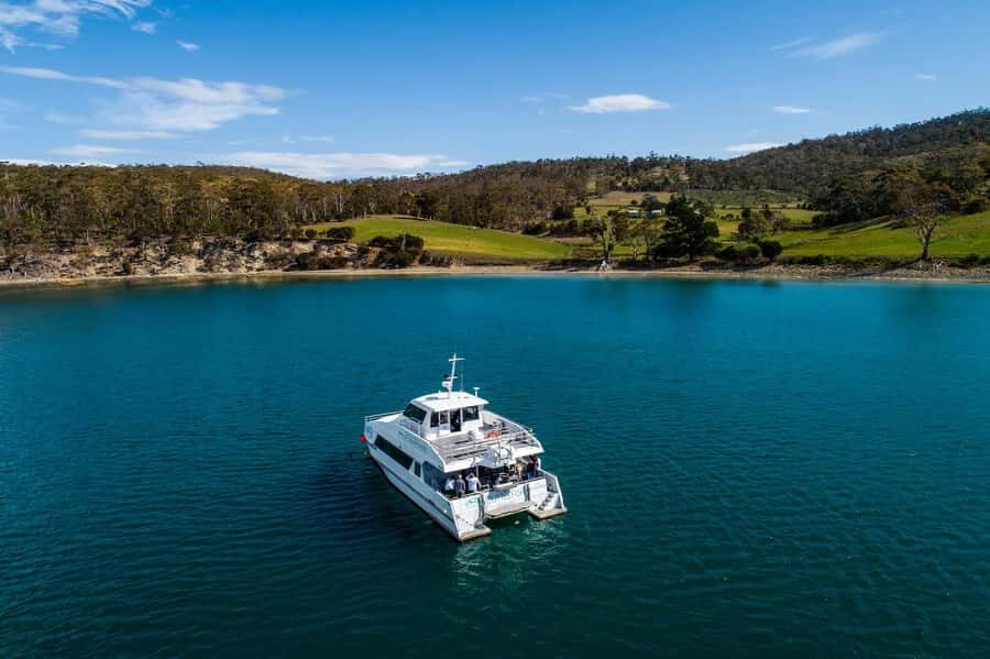 Hobart: Ultimate Seafood Cruise on a Spacious Catamaran - What to Expect: A Step-by-Step Journey