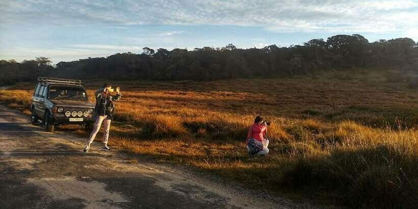 Horton plains: Discover real essence of central highland - What Travelers Are Saying