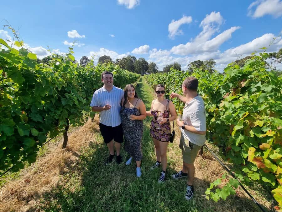 Hunter Valley: Beer & Wine Group Tour - Value and Practicalities