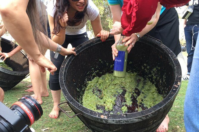 Hunter Valley Grape Stomping - Who Will Love This Tour?