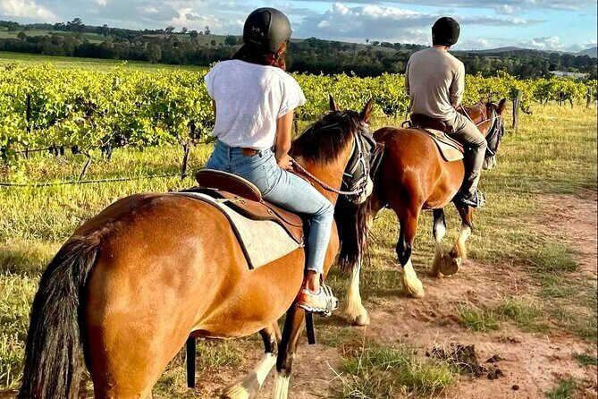 Hunter Valley Sunset Horse Ride - 90 Minutes - What to Expect on the Ride