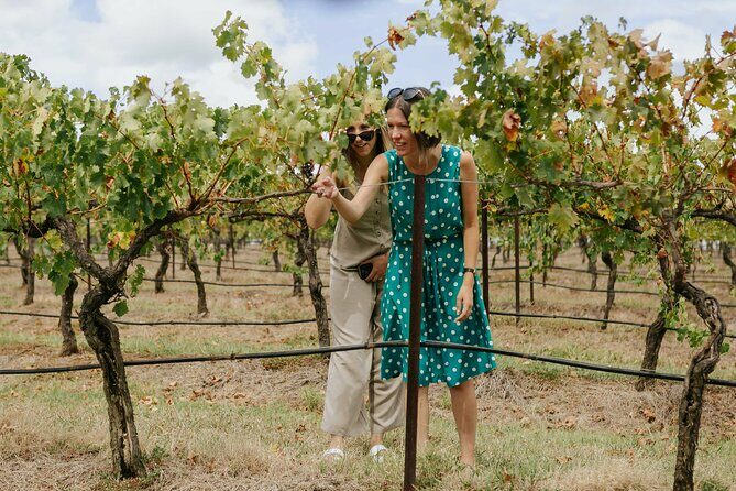 Hunter Valley Wine, Food & Vine Tour with Behind the Scenes - What Makes This Tour Stand Out?