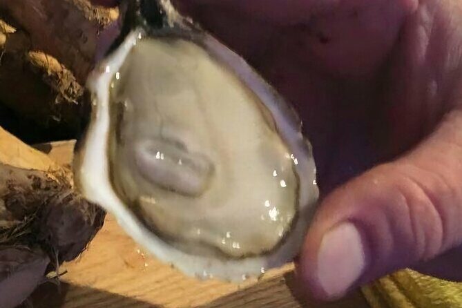 Island Tour with Oyster Tasting & Merroir Experience P.E.I. - Practical Details & What to Expect