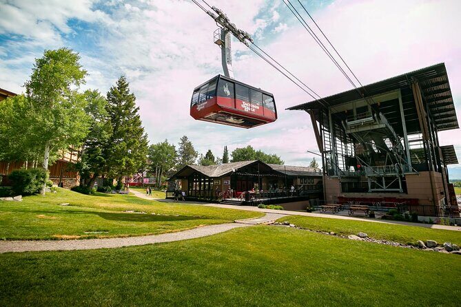 Jackson Hole Summer Aerial Tram Sightseeing - The Value: Is It Worth It?