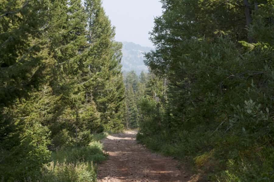 Jackson Hole: Teton Range ATV Tour with Picnic Lunch - Why We Love This ATV Tour